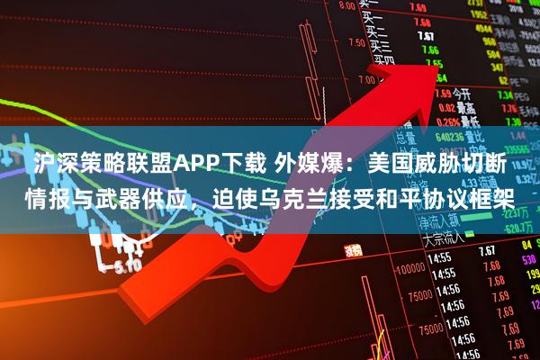 沪深策略联盟APP下载 外媒爆：美国威胁切断情报与武器供应，迫使乌克兰接受和平协议框架