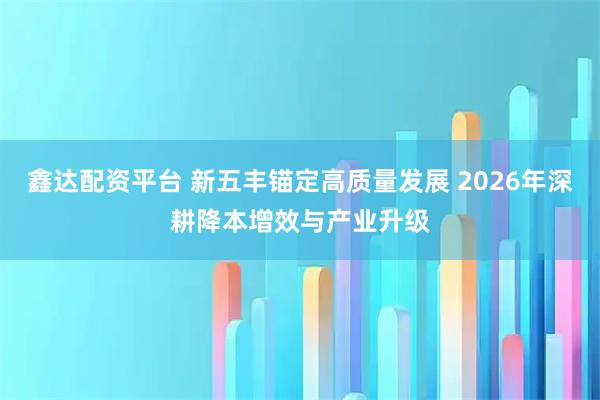 鑫达配资平台 新五丰锚定高质量发展 2026年深耕降本增效与产业升级